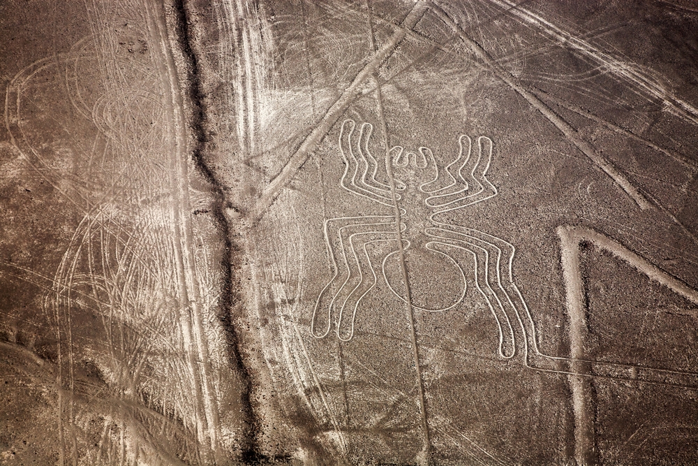 Nazca Lines arachnid