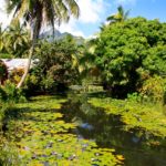 The Society Islands of French Polynesia - 23