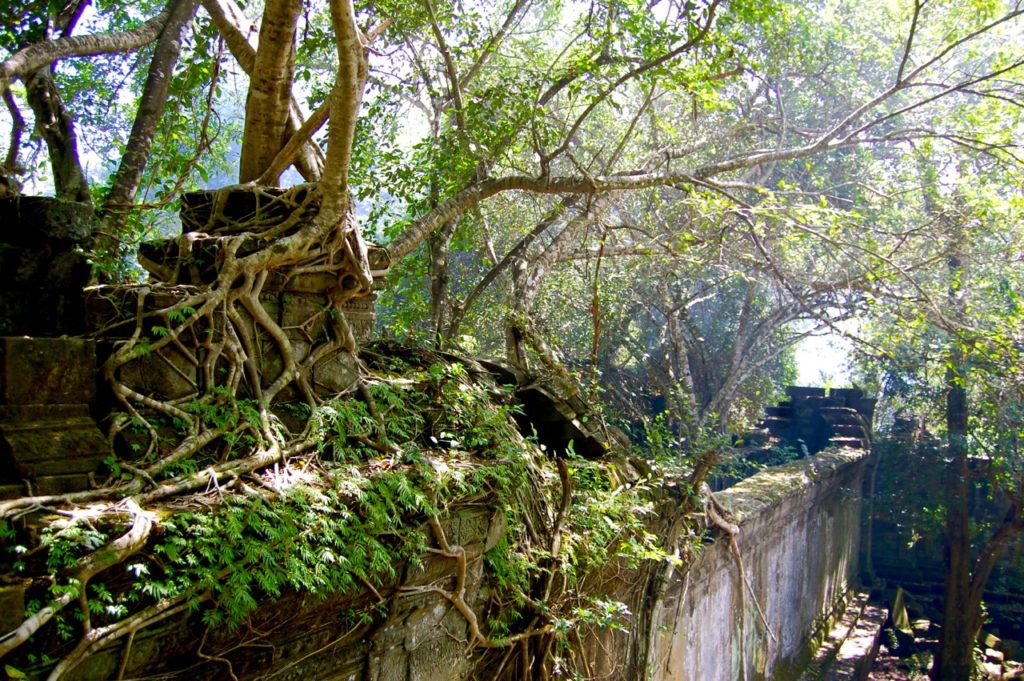 best time to visit Angkor Wat: Beng Mealea