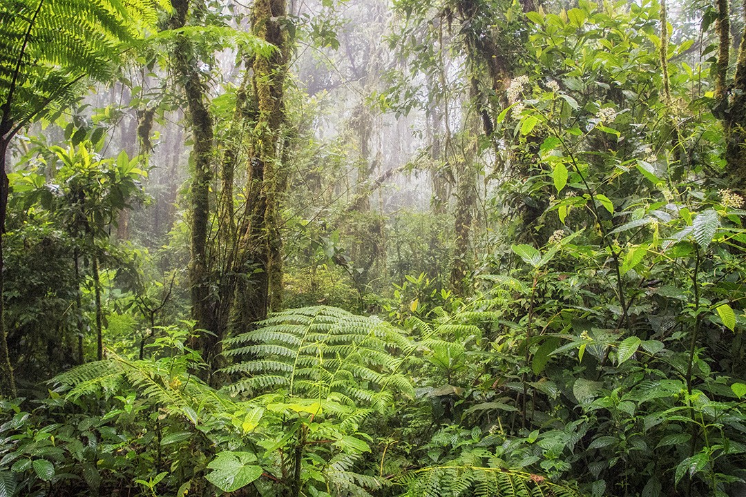 Costa Rica: our first National Geographic Expedition | Atlas & Boots