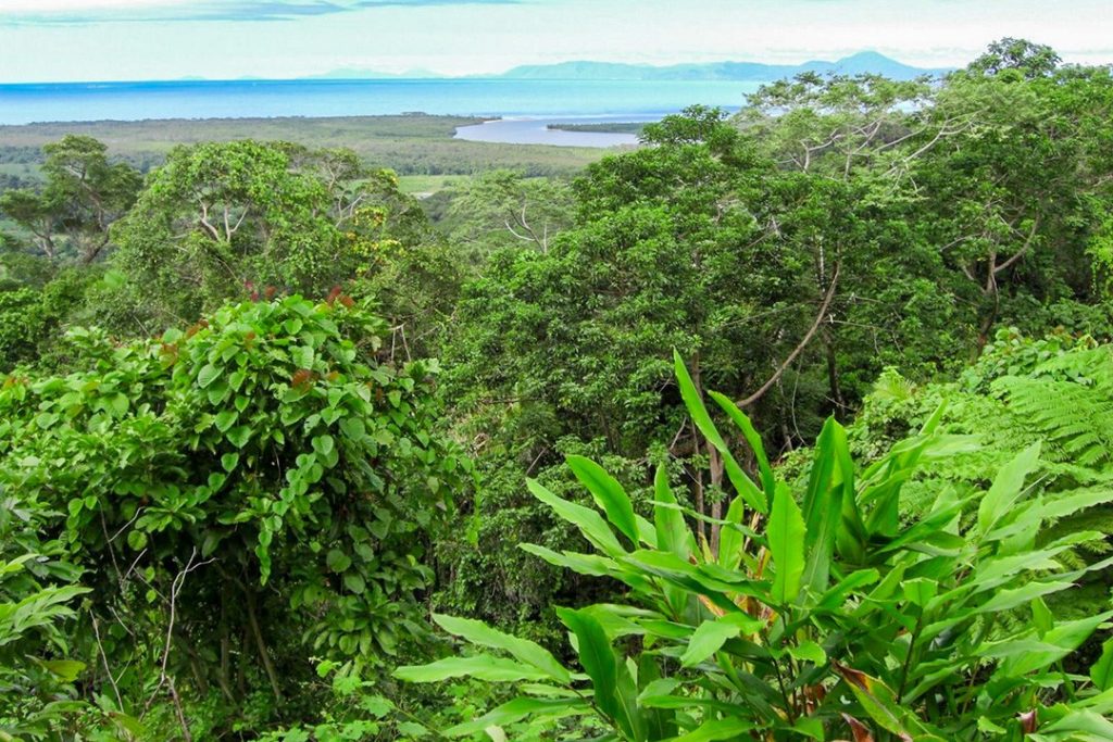 12 Largest Rainforests In The World | Atlas & Boots