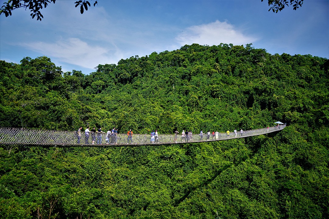 12 Largest Rainforests In The World And Where To Find Them | Atlas & Boots