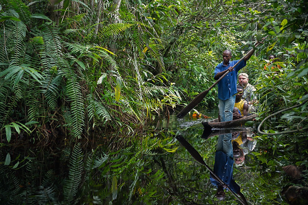 12 largest rainforests in the world and where to find them | Atlas & Boots