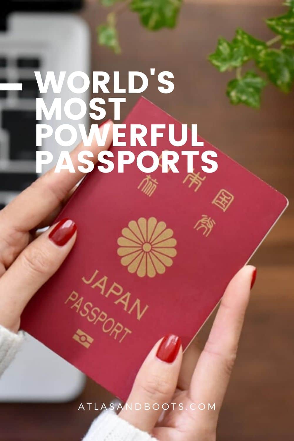 The World's Most Powerful & Valuable Passport From Japan to Somalia