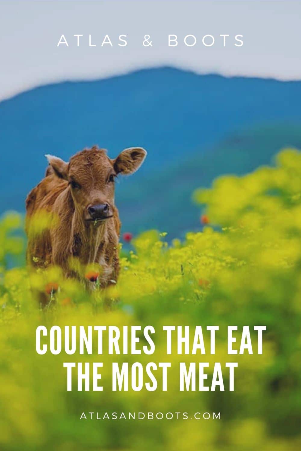 Countries That Eat The Most Meat – Ranked | Atlas & Boots