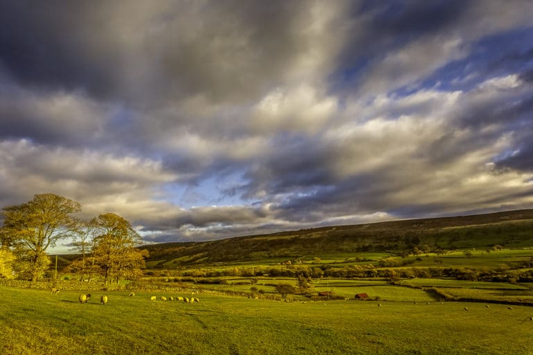 12 Best Hikes In The North York Moors National Park | Atlas & Boots