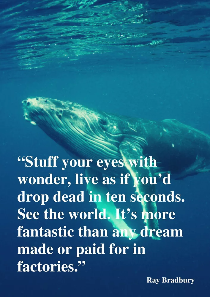 See the world quote by Ray Bradbury