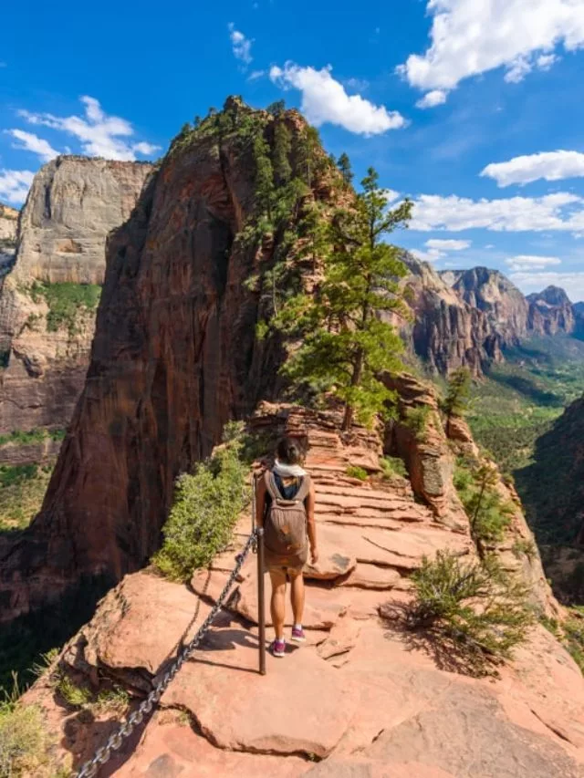 cropped-best-hiking-trails-in-every-US-state-lead-image-zion-angels-trail.jpg