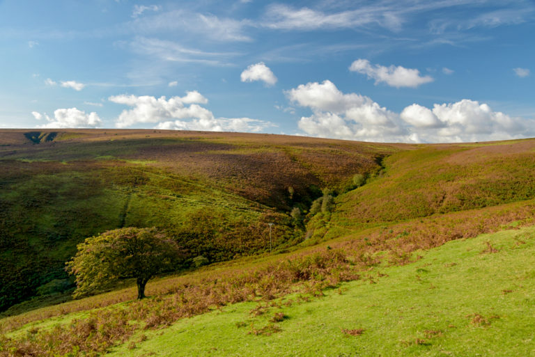 10 Best Hikes In Exmoor National Park Atlas And Boots