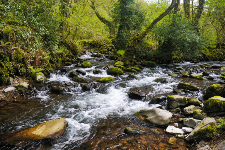 10 best hikes in Exmoor National Park | Atlas & Boots