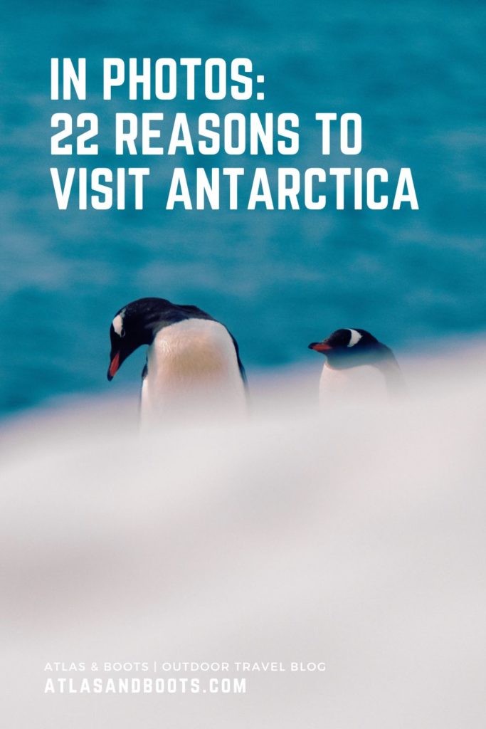 Reasons to visit Antarctica Pinterest pin