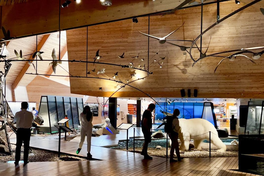 Inside Svalbard Museum in Longyearbyen, the world’s northernmost town