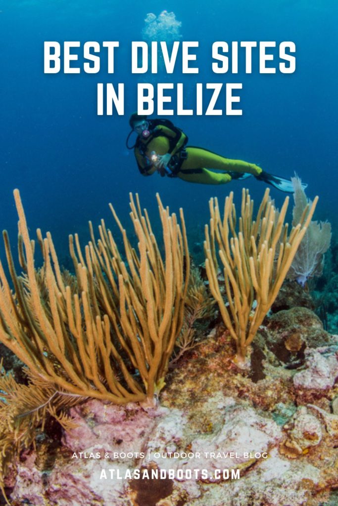 Best dive sites in Belize: our top 8 picks | Atlas & Boots