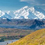 Caribou on a slope in front of Denali