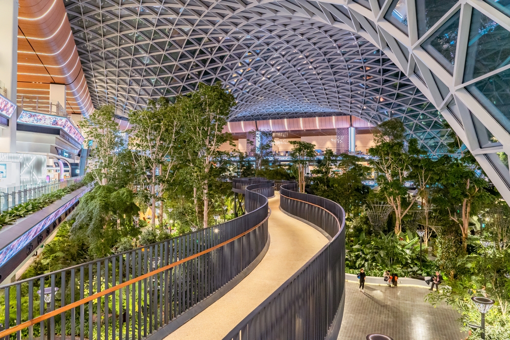 A walkway surrounded by trees inside Inside Doha airport – the best in the world