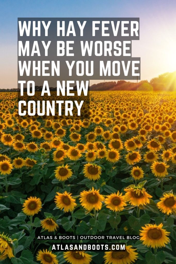 hay fever in a new country pinterest pin